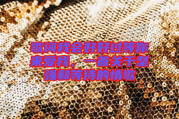 歌詞我會(huì)好好過等你來(lái)愛我，一首關(guān)于堅(jiān)強(qiáng)和等待的情歌