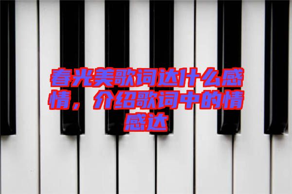 春光美歌詞達什么感情，介紹歌詞中的情感達