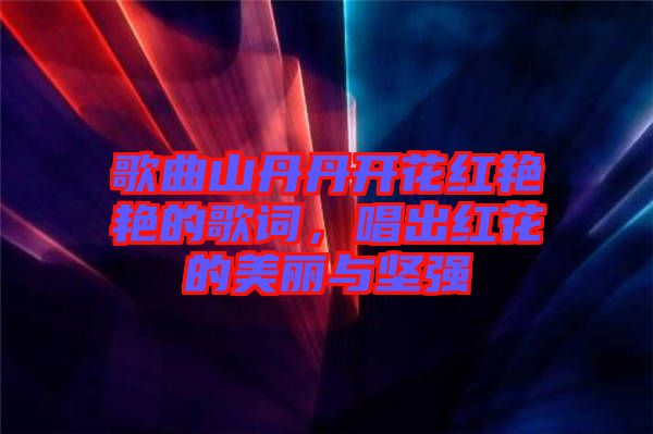 歌曲山丹丹開花紅艷艷的歌詞，唱出紅花的美麗與堅強