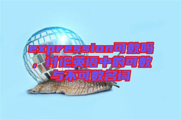 expression可數(shù)嗎，討論英語中的可數(shù)與不可數(shù)名詞