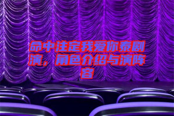 命中注定我愛你泰劇演，角色介紹與演陣容