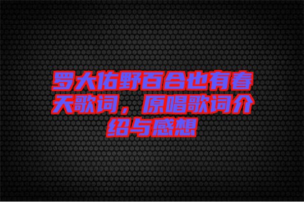 羅大佑野百合也有春天歌詞，原唱歌詞介紹與感想