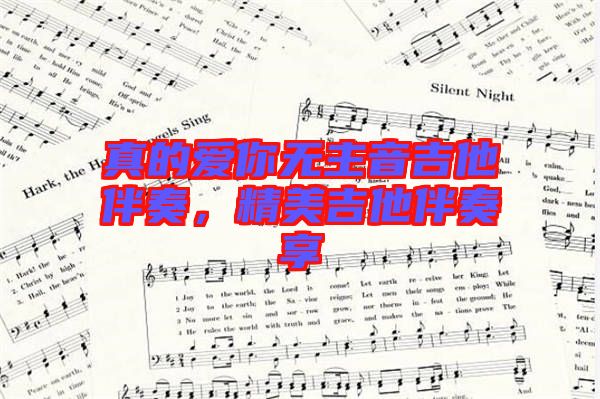 真的愛你無主音吉他伴奏，精美吉他伴奏享