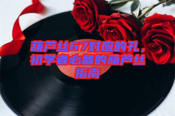 葫蘆絲67對應的孔，初學者必備的葫蘆絲指南