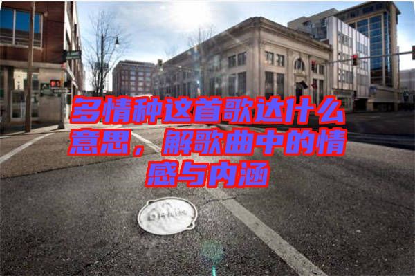 多情種這首歌達什么意思，解歌曲中的情感與內涵