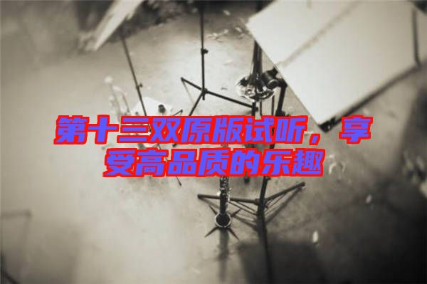 第十三雙原版試聽，享受高品質的樂趣