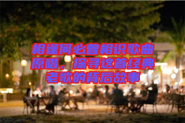相逢何必曾相識歌曲原唱，探尋這首經典老歌的背后故事