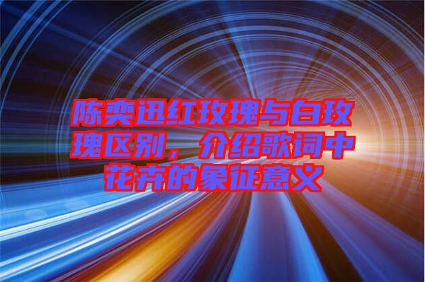陳奕迅紅玫瑰與白玫瑰區別，介紹歌詞中花卉的象征意義