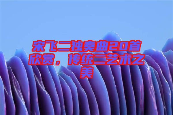 宋飛二獨(dú)奏曲20首欣賞，傳統(tǒng)二藝術(shù)之美