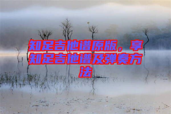 知足吉他譜原版，享知足吉他譜及彈奏方法
