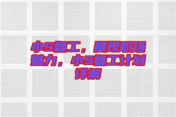 小S復(fù)工，展現(xiàn)職場魅力，小S復(fù)工計劃詳解