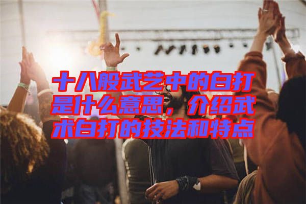 十八般武藝中的白打是什么意思，介紹武術白打的技法和特點