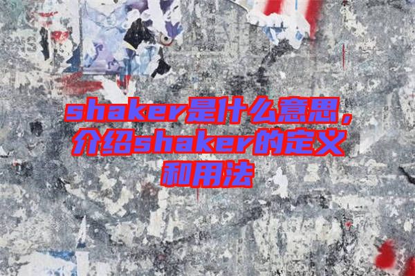 shaker是什么意思，介紹shaker的定義和用法
