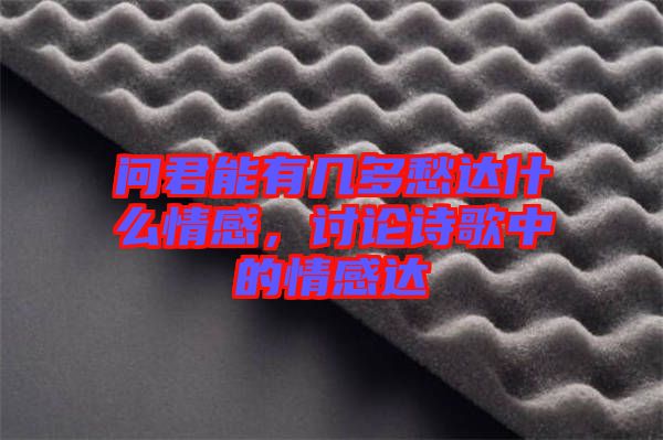 問君能有幾多愁達什么情感，討論詩歌中的情感達