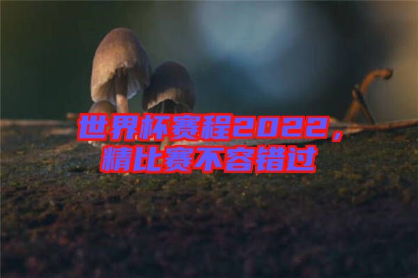 世界杯賽程2022，精比賽不容錯過