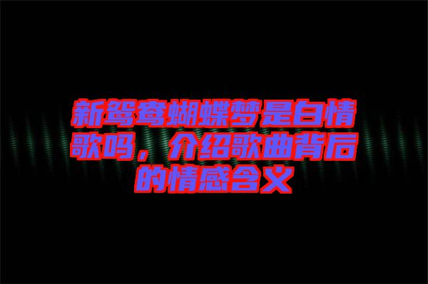 新鴛鴦蝴蝶夢是白情歌嗎，介紹歌曲背后的情感含義