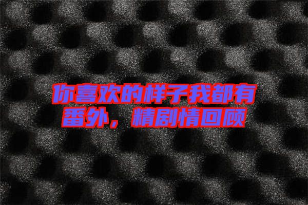 你喜歡的樣子我都有番外，精劇情回顧