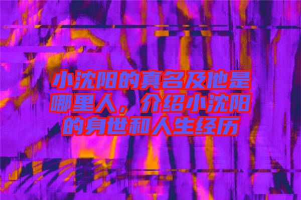 小沈陽(yáng)的真名及他是哪里人，介紹小沈陽(yáng)的身世和人生經(jīng)歷