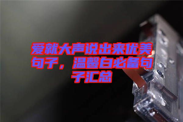 愛(ài)就大聲說(shuō)出來(lái)優(yōu)美句子，溫馨白必備句子匯總