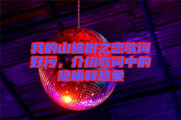 我的山楂樹之戀歌詞好污，介紹歌詞中的隱喻和意象
