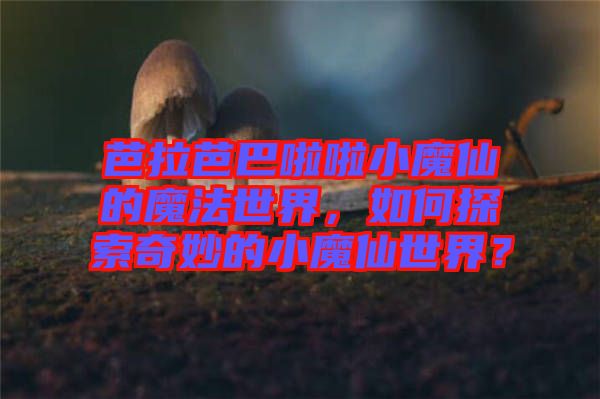 芭拉芭巴啦啦小魔仙的魔法世界，如何探索奇妙的小魔仙世界？