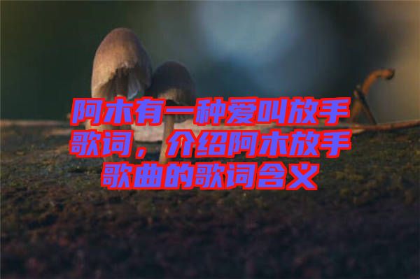 阿木有一種愛叫放手歌詞，介紹阿木放手歌曲的歌詞含義