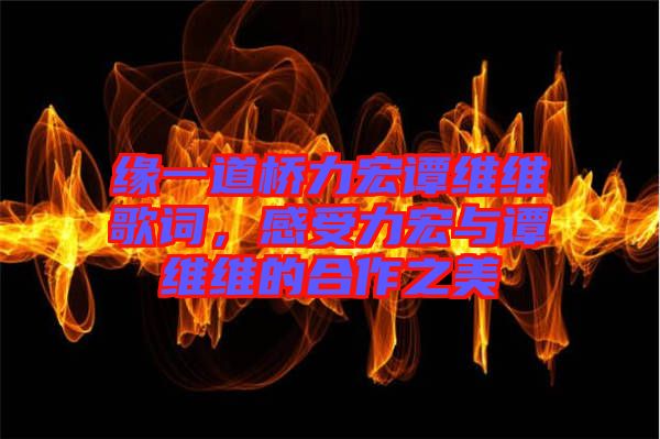 緣一道橋力宏譚維維歌詞，感受力宏與譚維維的合作之美