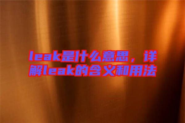 leak是什么意思，詳解leak的含義和用法