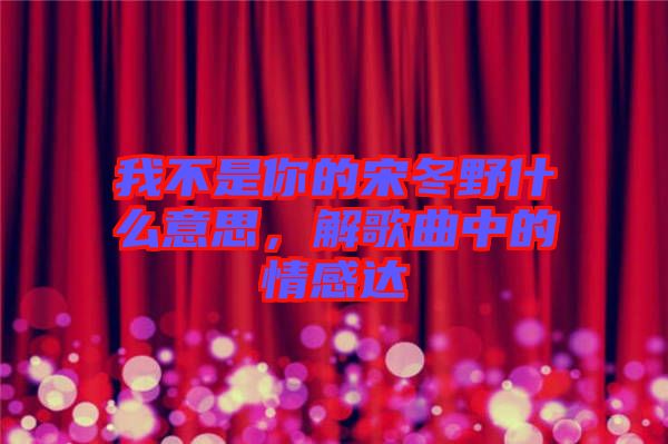 我不是你的宋冬野什么意思，解歌曲中的情感達