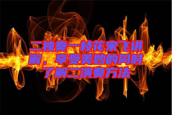 二獨奏一枝花宋飛講解，享受美妙的同時了解二演奏方法