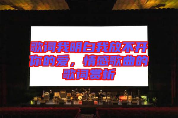 歌詞我明白我放不開(kāi)你的愛(ài)，情感歌曲的歌詞賞析