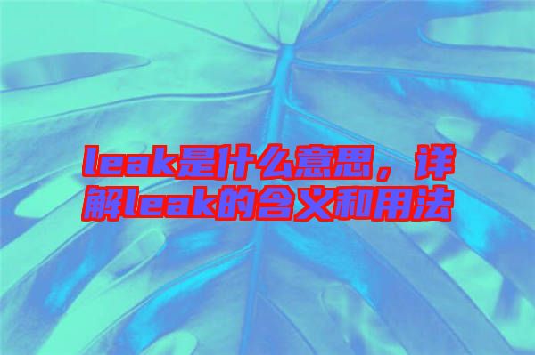 leak是什么意思，詳解leak的含義和用法