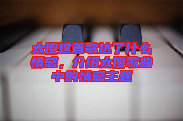 太傻這首歌達了什么情感，介紹太傻歌曲中的情感主題