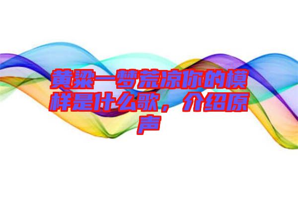 黃粱一夢(mèng)荒涼你的模樣是什么歌，介紹原聲