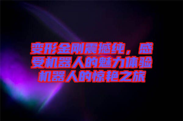 變形金剛震撼純，感受機(jī)器人的魅力體驗(yàn)機(jī)器人的驚艷之旅