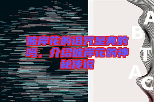 彼岸花的詛咒是真的嗎，介紹彼岸花的神秘傳說