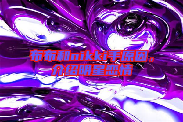 布布和nikki手原因，介紹明星戀情