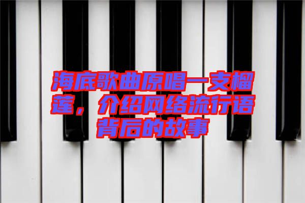 海底歌曲原唱一支榴蓮，介紹網絡流行語背后的故事