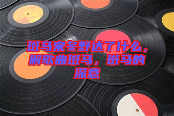 斑馬宋冬野達了什么，解歌曲斑馬，斑馬的深意