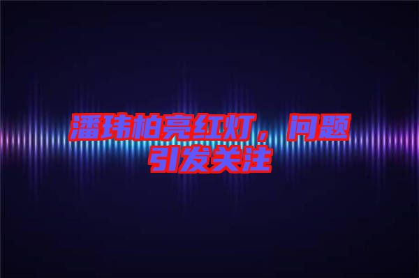 潘瑋柏亮紅燈，問題引發(fā)關(guān)注