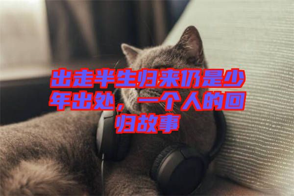 出走半生歸來仍是少年出處，一個人的回歸故事