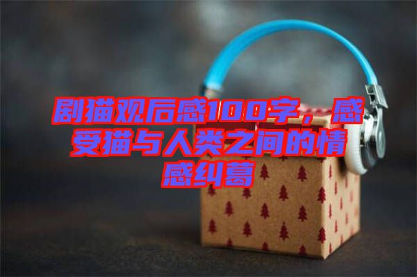 劇貓觀后感100字，感受貓與人類之間的情感糾葛