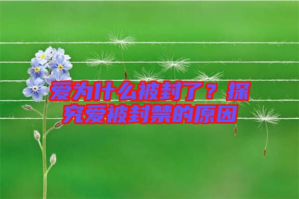 愛為什么被封了？探究愛被封禁的原因