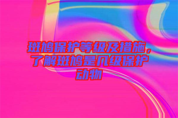 斑鳩保護等級及措施，了解斑鳩是幾級保護動物