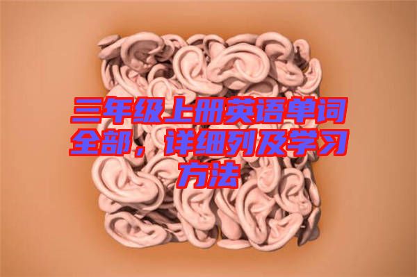 三年級上冊英語單詞全部，詳細列及學習方法