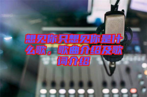 想見你只想見你是什么歌，歌曲介紹及歌詞介紹