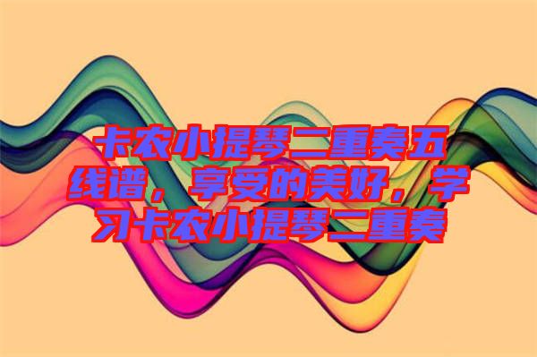 卡農(nóng)小提琴二重奏五線譜，享受的美好，學(xué)習(xí)卡農(nóng)小提琴二重奏
