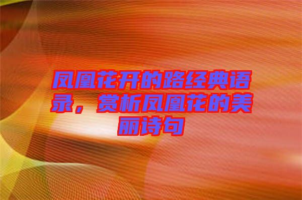 鳳凰花開的路經典語錄，賞析鳳凰花的美麗詩句