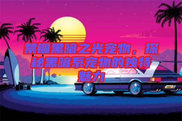 禁錮黑暗之光寵物，探秘黑暗系寵物的獨特魅力