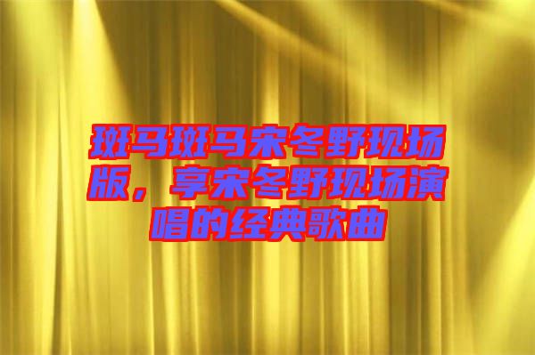 斑馬斑馬宋冬野現(xiàn)場(chǎng)版，享宋冬野現(xiàn)場(chǎng)演唱的經(jīng)典歌曲